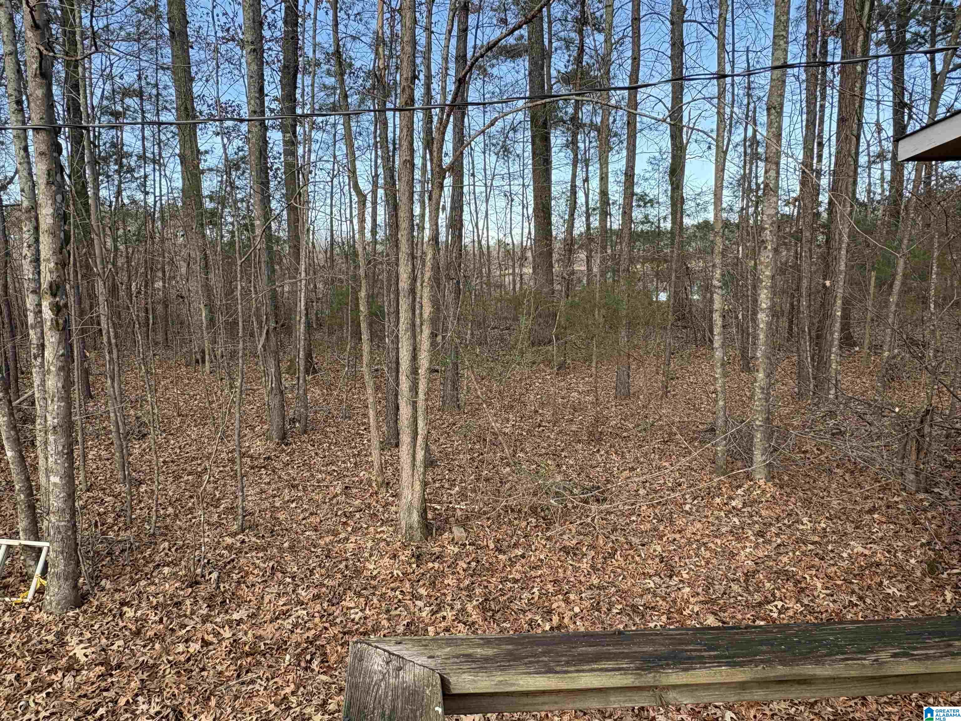 6342 Selma Road, Unit 1 Centreville, AL 35042 - Photo 21 of 21