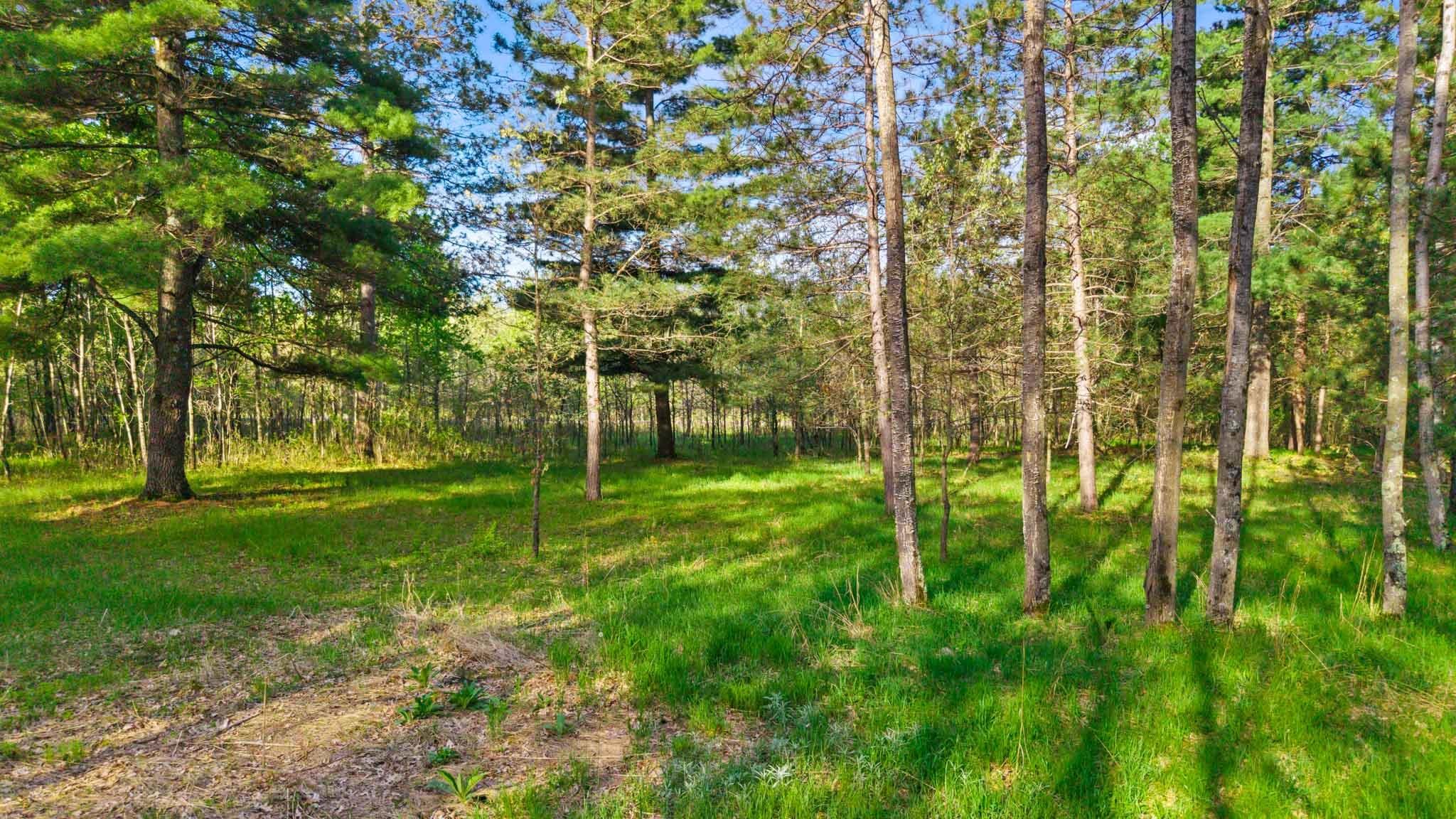 4.4-ac Mol County Rd Z Nekoosa, WI 54457 - Photo 21 of 22