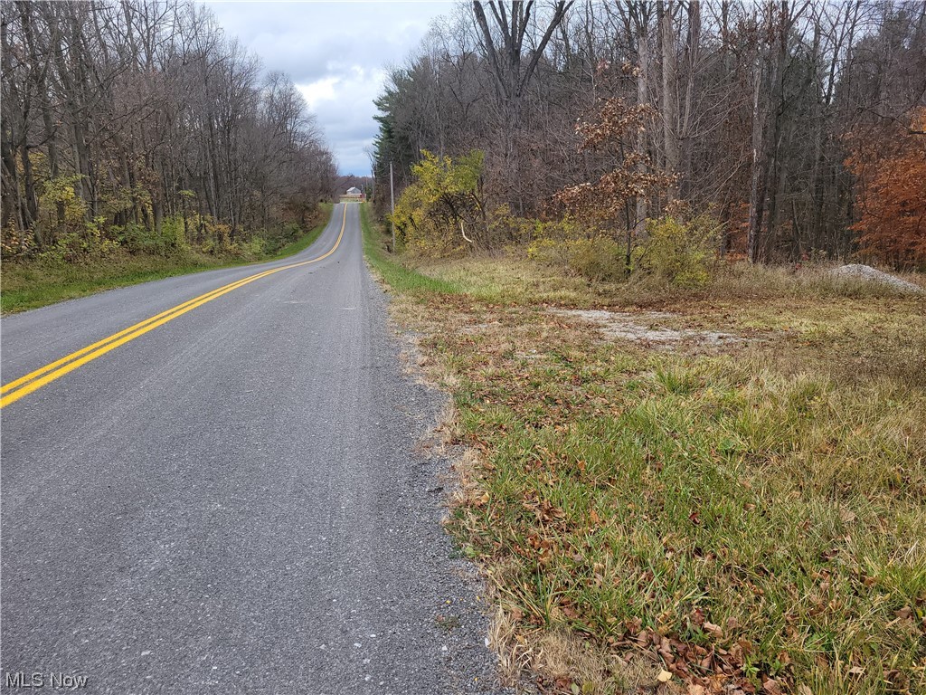 11185 Williams Road Homerville, OH 44235 - Photo 2 of 10 From the east side of the property looking west