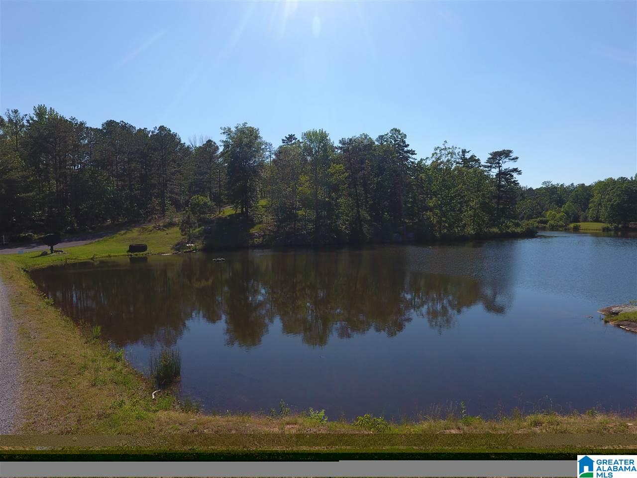 1825 Lynch Lake Road Odenville, AL 35120 - Photo 27 of 27