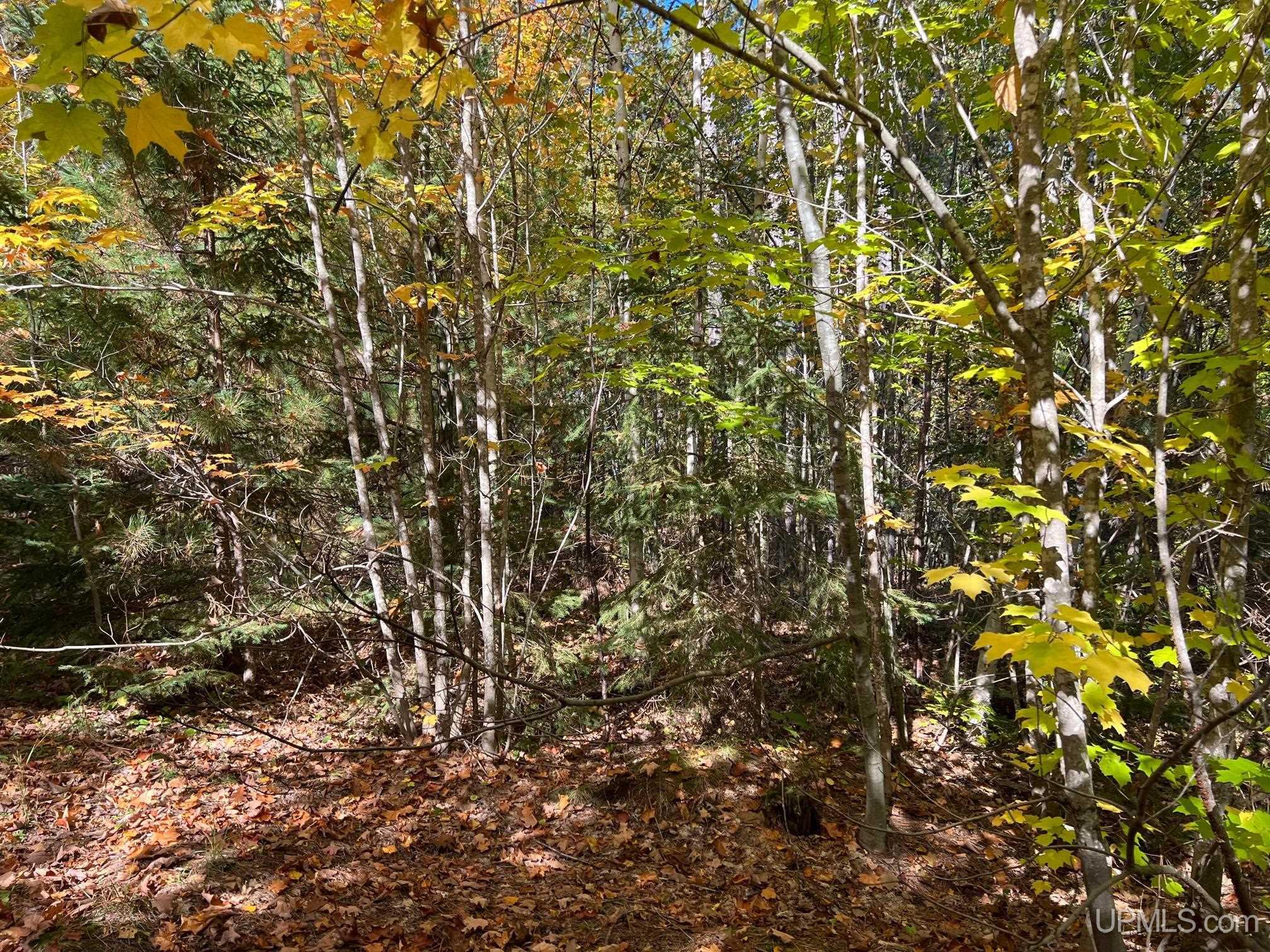 Tbd3 Tbd3 Oak Point Road Atlantic Mine, MI 49905 - Photo 9 of 21