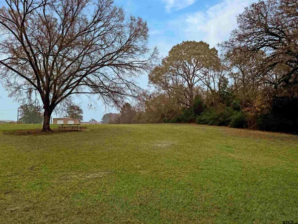 a view of yard with trees