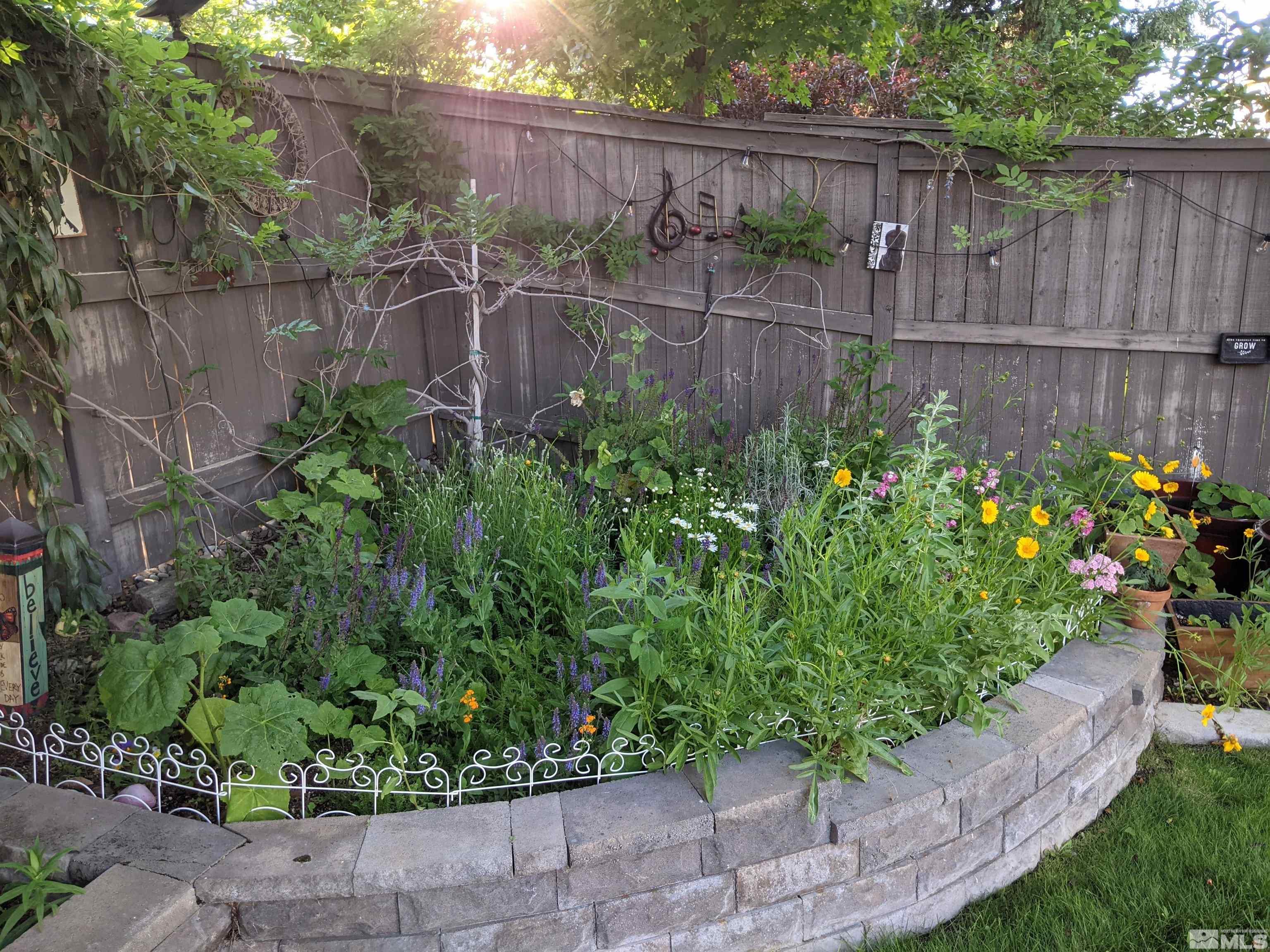596 Needles Court Reno, NV 89521 - Photo 38 of 40 a view of a garden with a flower