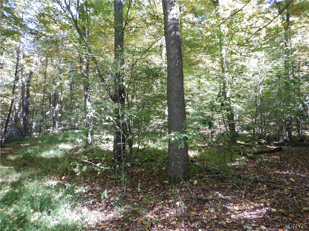 Phillips Road Windsor, NY 13865 - Photo 18 of 43 Gallery Image 18