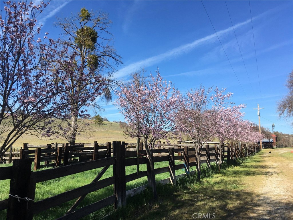 3470 Ranchita Canyon Road San Miguel, CA 93451 - Photo 18 of 61 Gallery Image 18