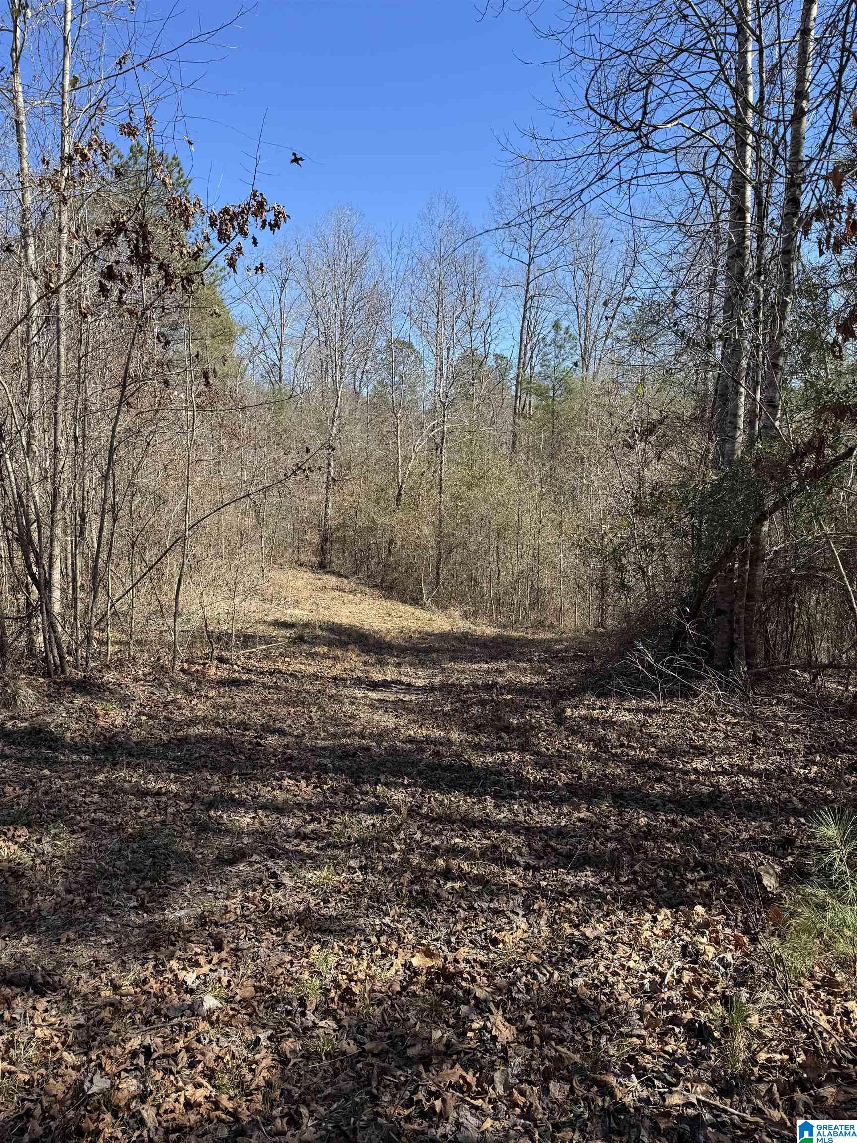 19075 Westside Road, Unit 5 Brookwood, AL 35444 - Photo 2 of 21