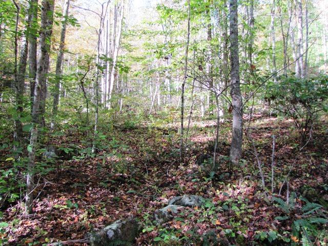 Laurel Creek Road Wayside, WV 24985 - Photo 21 of 28 Gallery Image 21