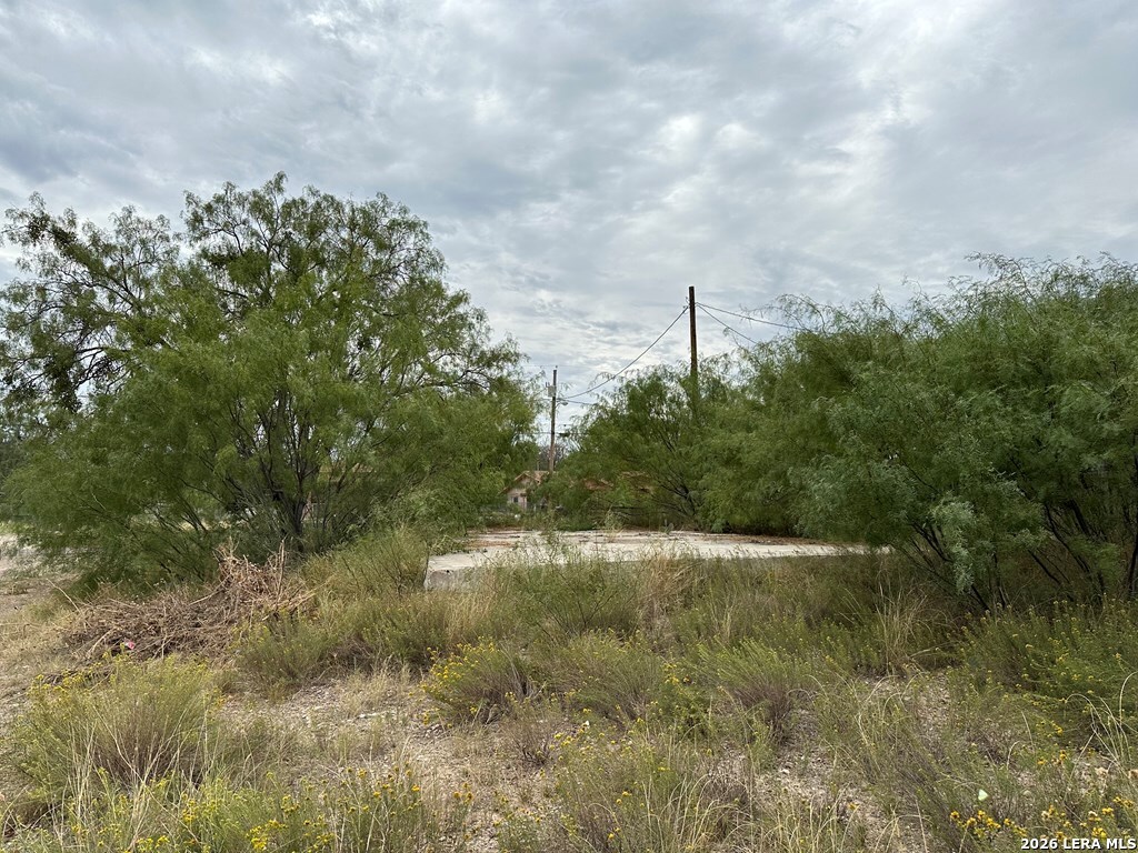2662 Rodriguez Street Eagle Pass, TX 78852 - Photo 3 of 5 a view of a lake with green space