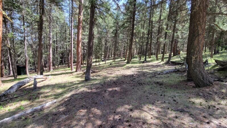 1315 Lofton Creek Road Prineville, OR 97754 - Photo 59 of 61 image000005 (10)