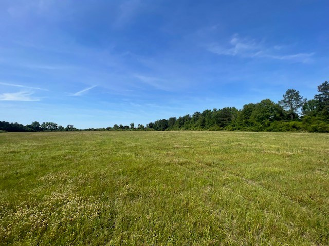 0 Chemin Bill Simmons Road Mount Hermon, LA 70450 - Photo 2 of 15 Photo 2