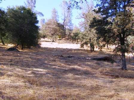 28 Township Road Browns Valley, CA 95918 - Photo 1 of 1 Gallery Image 1