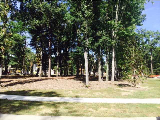 3708 Oconee Loop Mount Pleasant, SC 29466 - Photo 8 of 27 HOA space across street in front of home