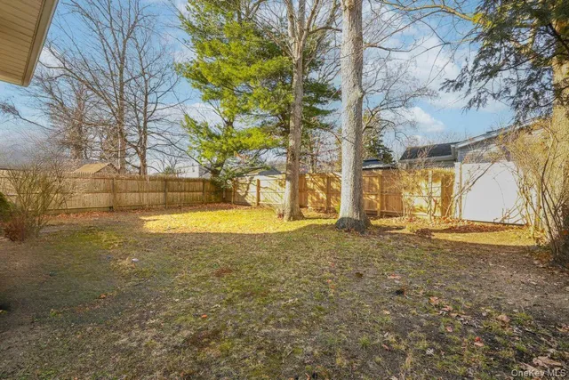a view of yard with large tree