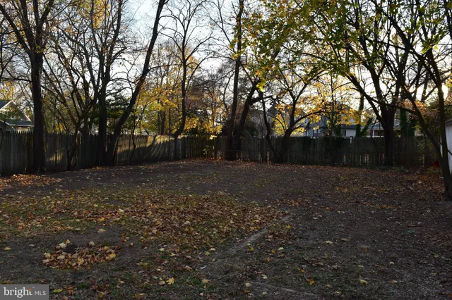 a view of backyard with green space