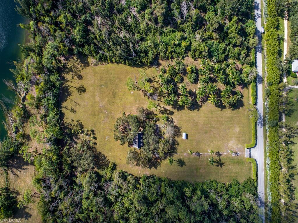 6470 Daniels Road Naples, FL 34109 - Photo 8 of 22 a view of a tree in a garden