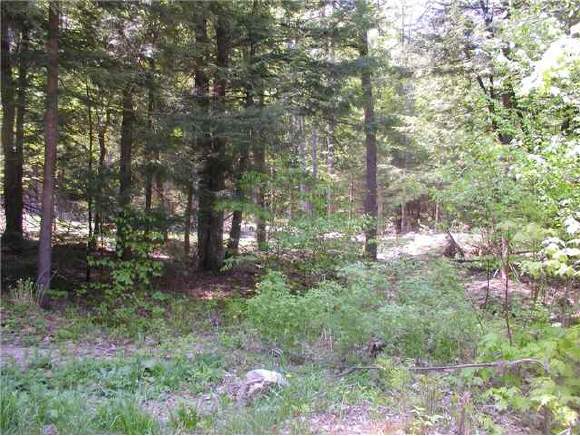 -- Bradley Lake Road Andover, NH 03216 - Photo 1 of 1