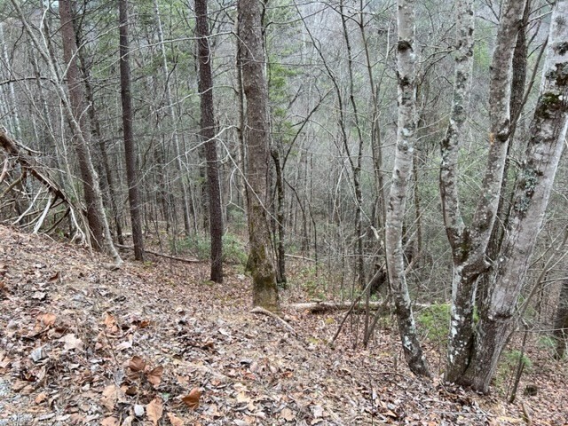 4 Sunset Road Sevierville, TN 37862 - Photo 2 of 15