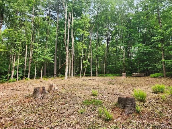 $79,000 | 106 Starlight Drive, Monticello, NY 12701