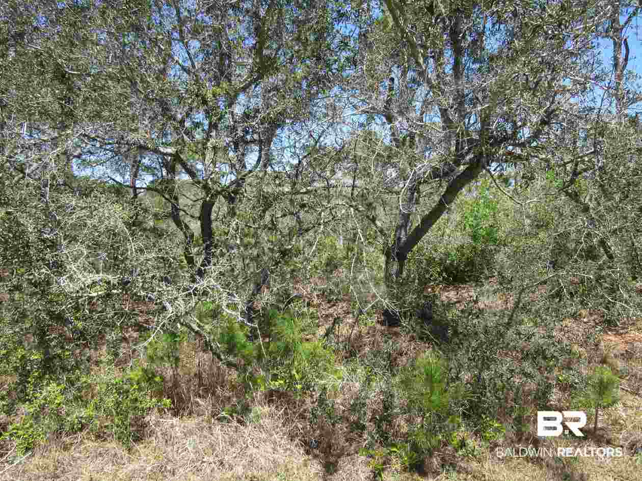 Zeanah Road Gulf Shores, AL 36542 - Photo 12 of 15