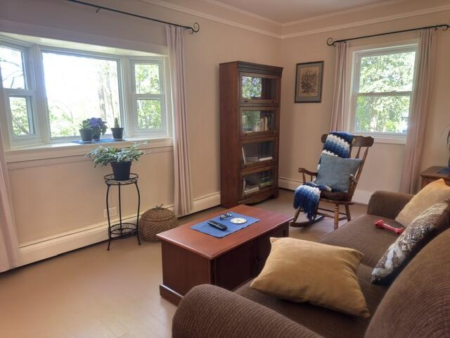 74 Old Lake Colby Road Saranac Lake, NY 12983 - Photo 4 of 41