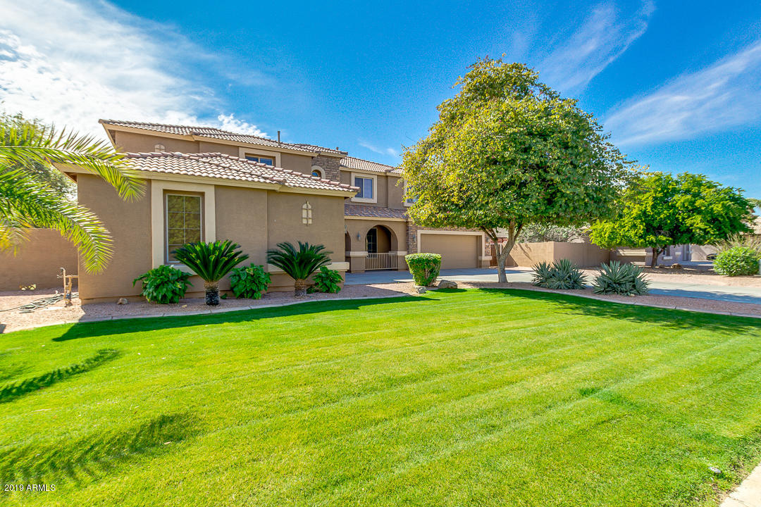329 East Hopkins Road Gilbert, AZ 85295 - Photo 3 of 73 03-Hapkins