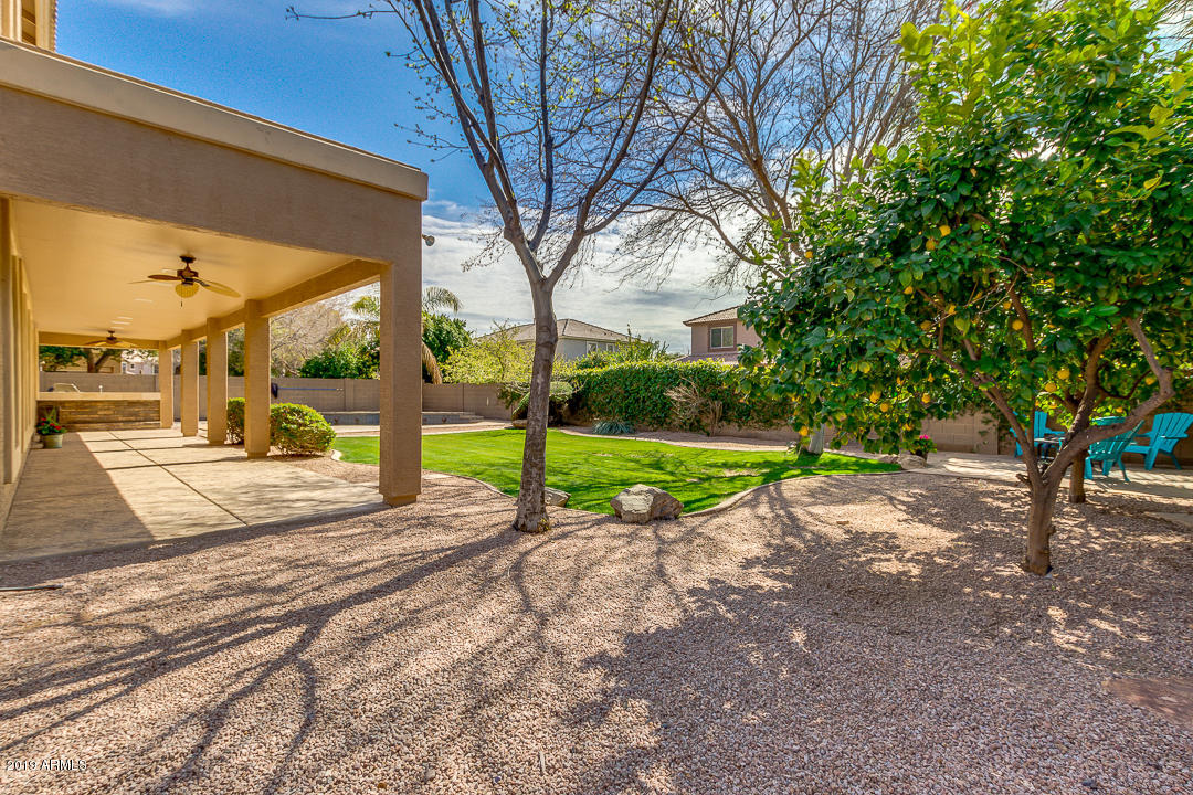 329 East Hopkins Road Gilbert, AZ 85295 - Photo 68 of 73 68-Hapkins