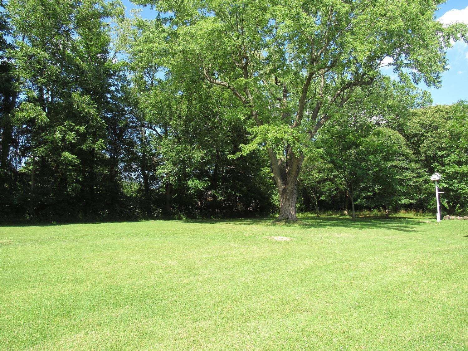 403 Chapel Road Amelia, OH 45102 - Photo 7 of 34 Gallery Image 7