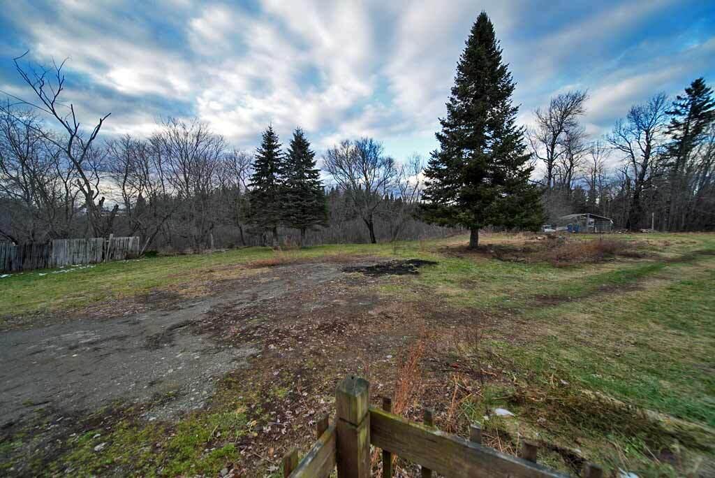 687 Drews Lake Road New Limerick, ME 04761 - Photo 11 of 42 yard-cheap-priced-home