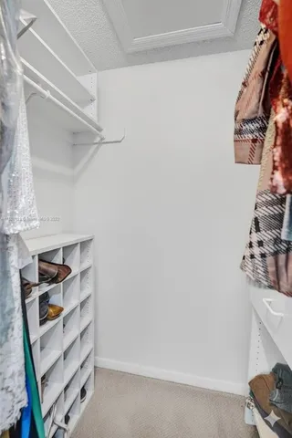 a view of a garden with a tree