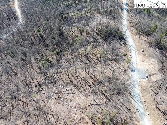 a view of a dry yard