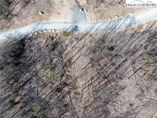 a view of a forest with snow on the road