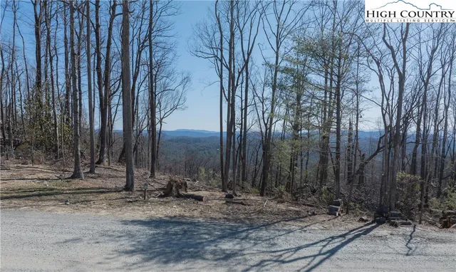 a view of a backyard with large trees