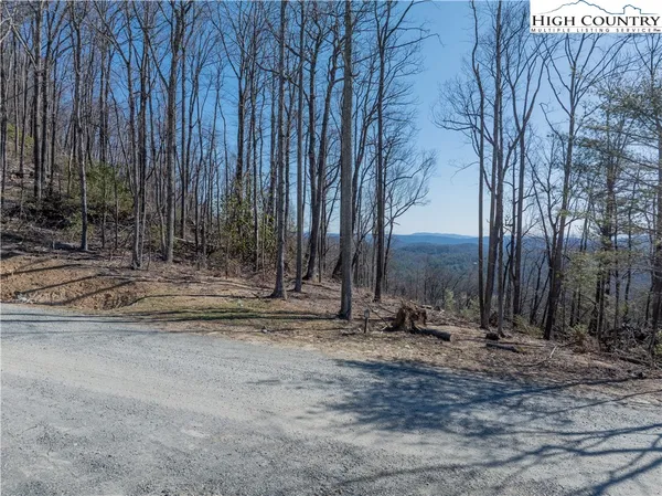 a view of a backyard with large trees