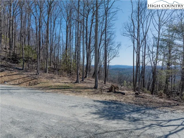 a view of a backyard with large trees