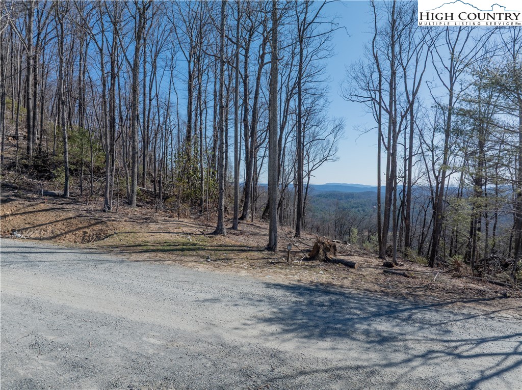 Lot 69 Angelfire Trail Deep Gap, NC 28618 - Photo 15 of 25 a view of a backyard with large trees