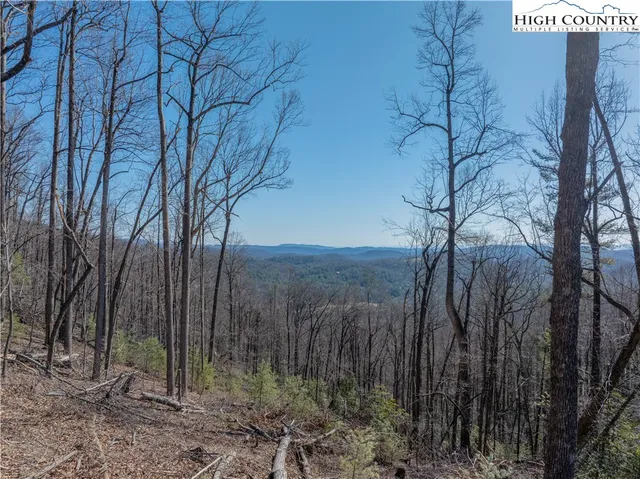 a view of a backyard of the house