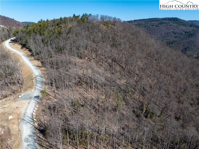 a view of a dry yard