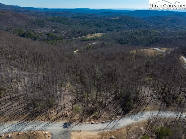 a view of a dry yard
