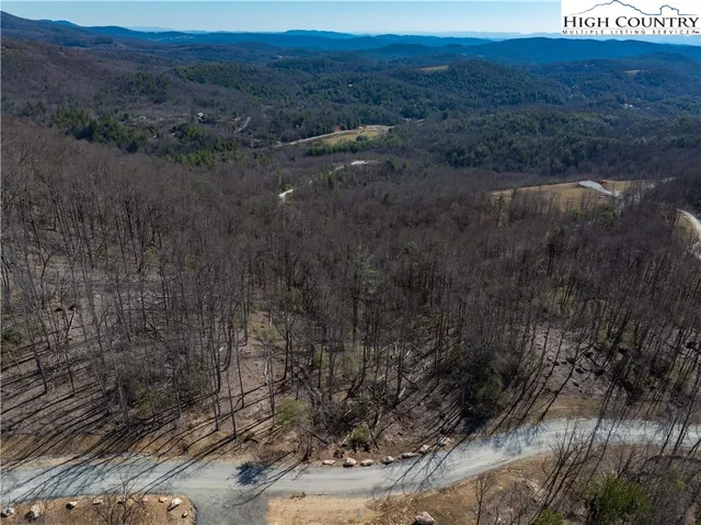 a view of a dry yard