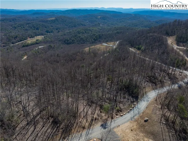 a view of a dry yard