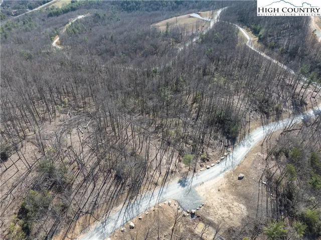 a view of a dry yard with trees and stairs