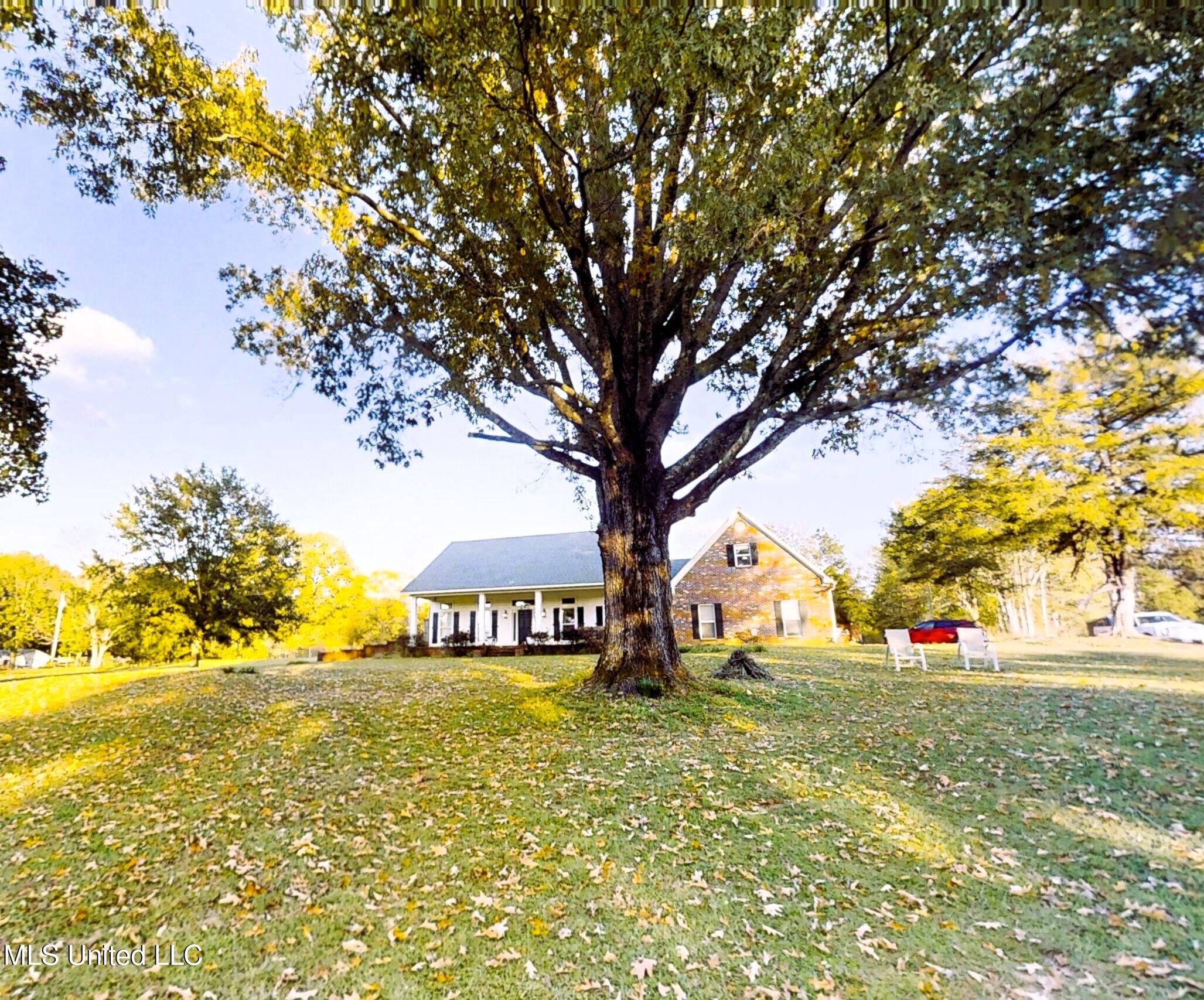 1230 Misty Lane Terry, MS 39170 - Photo 50 of 60 1230-Misty-Lane-11082025_140359