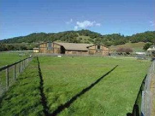 3433 Rolling Oaks Road Santa Rosa, CA 95404 - Photo 7 of 11 a view of a lush green field