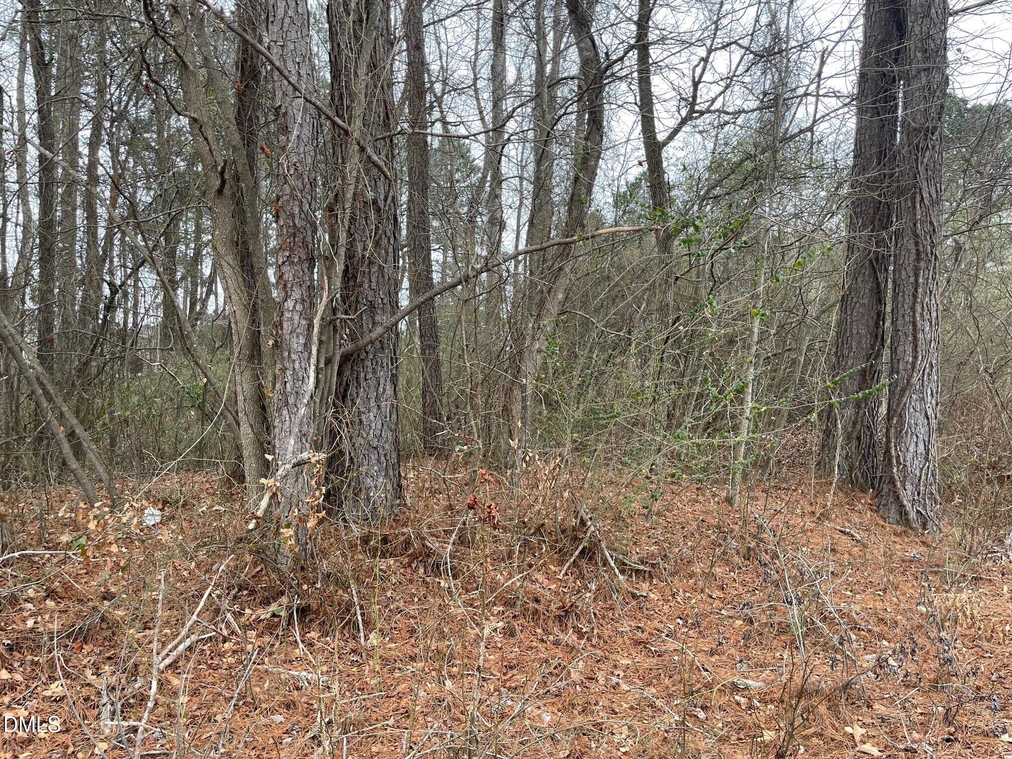 70 Wilson Bunnlevel, NC 28323 - Photo 2 of 6 a view of a forest with trees in the background