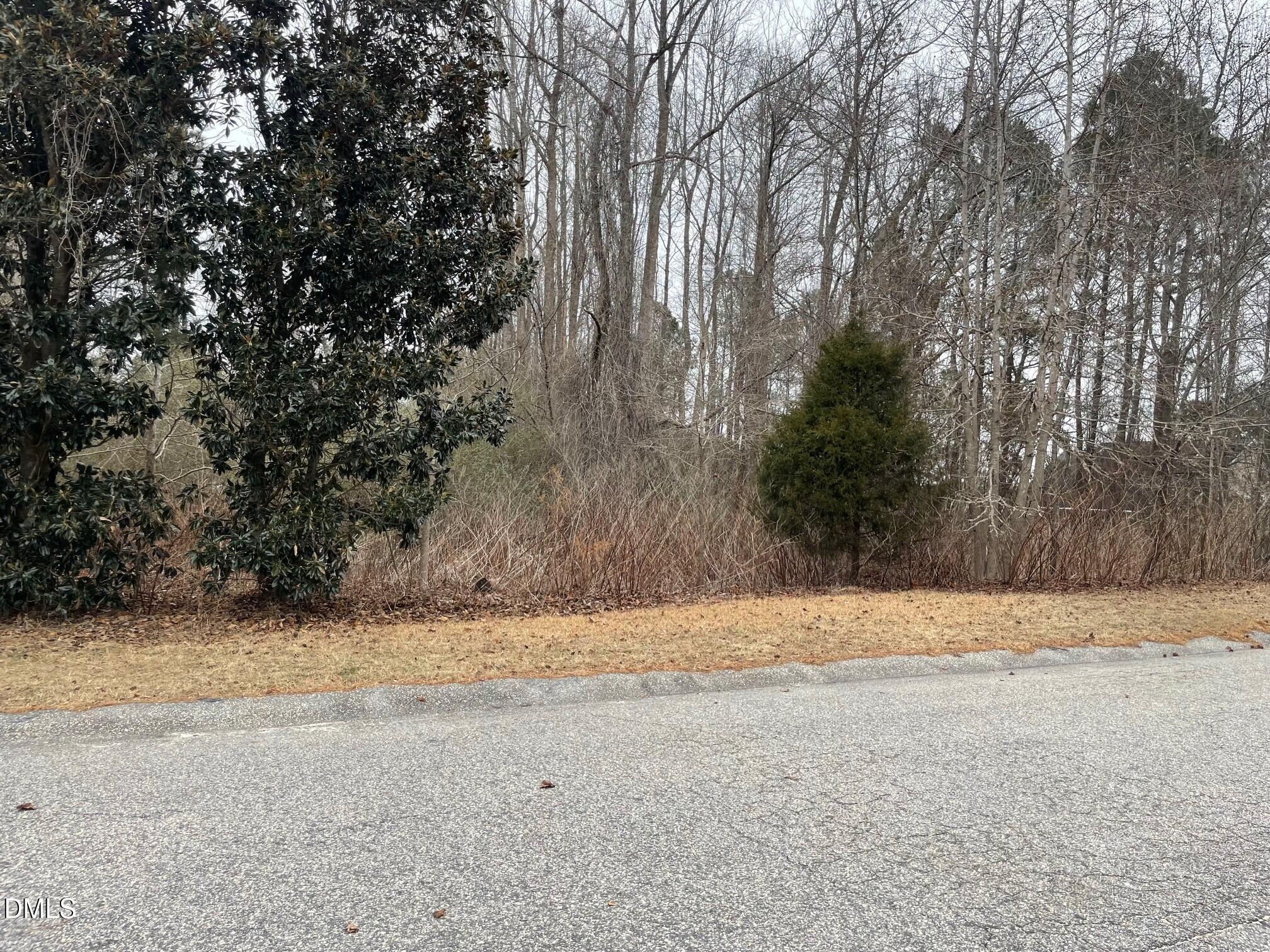 70 Wilson Bunnlevel, NC 28323 - Photo 5 of 6 a view of yard with trees