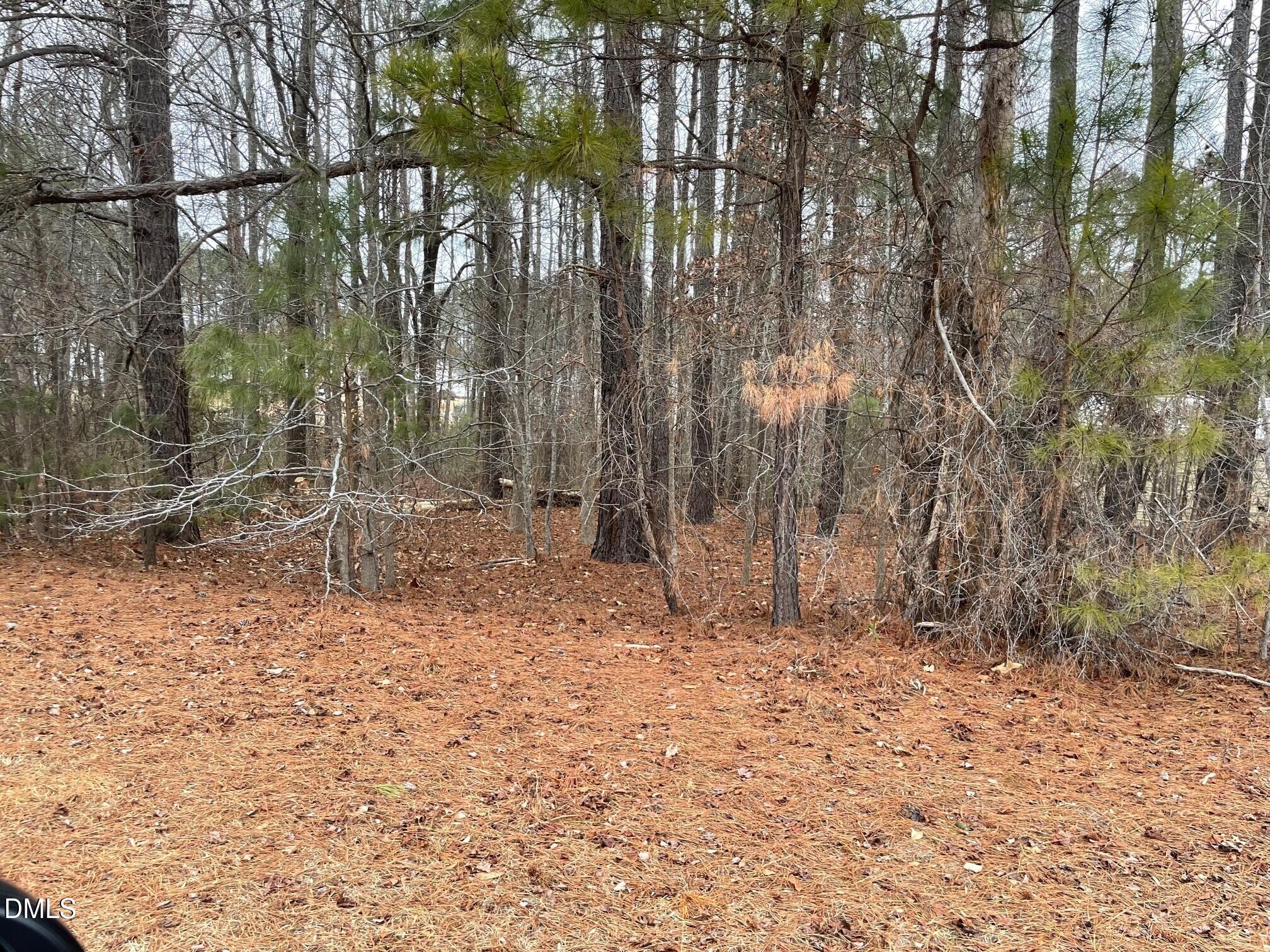 70 Wilson Bunnlevel, NC 28323 - Photo 6 of 6 a backyard of a house with lots of green space