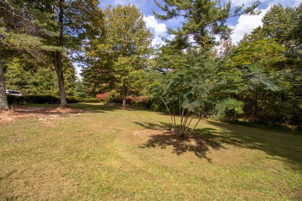 1724 Alum Ridge Road Northwest Willis, VA 24380 - Photo 13 of 71 Gallery Image 13