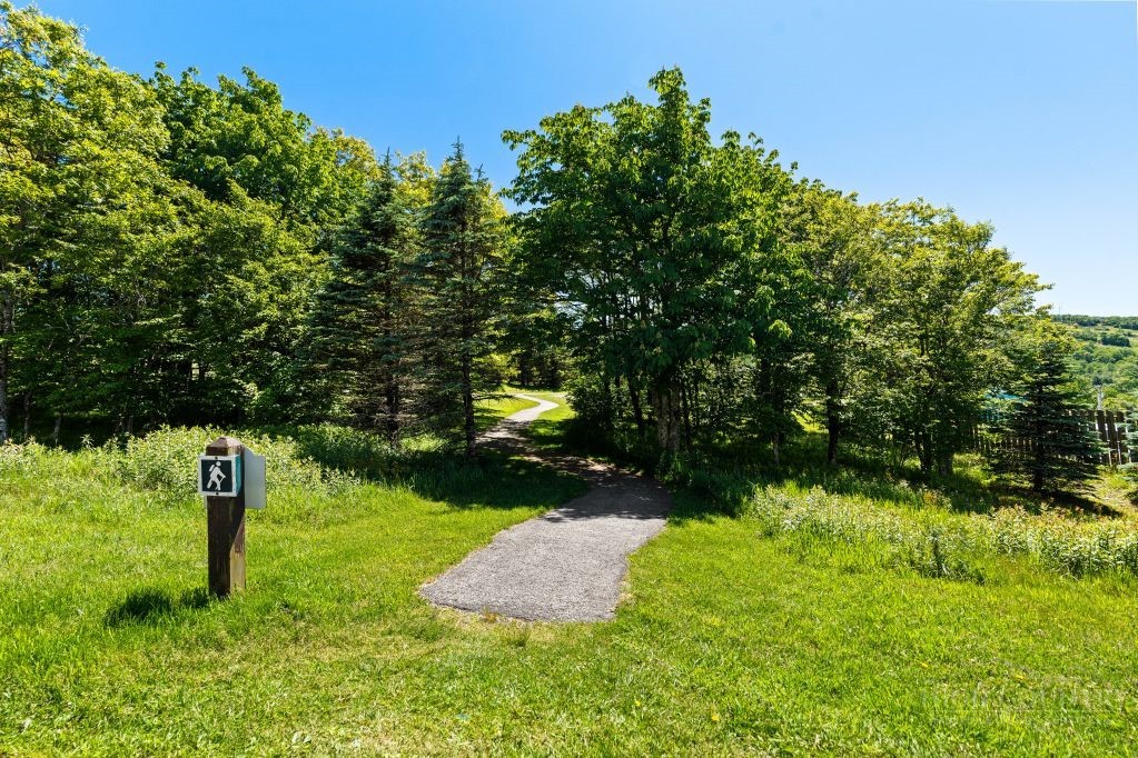 301 Pinnacle Inn Road, Unit 2218 Beech Mountain, NC 28604 - Photo 29 of 29
