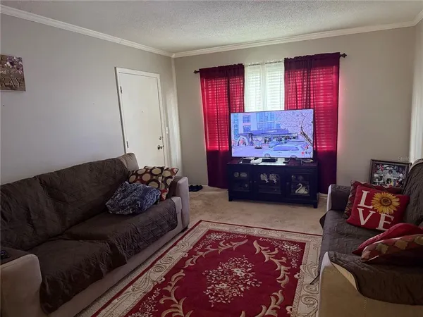a living room with furniture and a couch