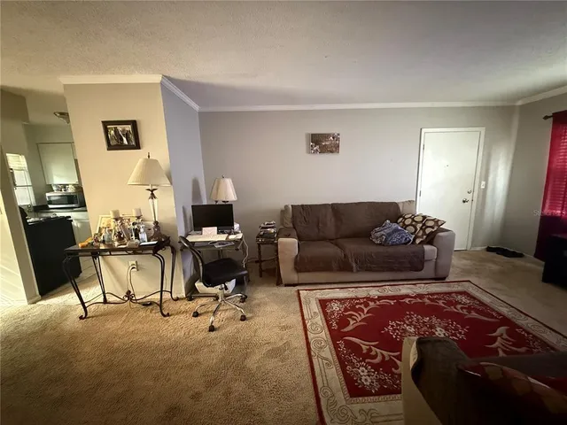 a living room with furniture and a rug